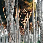 Lejlighed Manetta Tra Mare E Natura Pineto