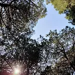 Manetta Tra Mare E Natura