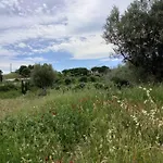 Manetta Tra Mare E Natura Lejlighed