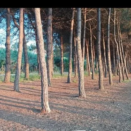 Manetta Tra Mare E Natura Apartment Pineto