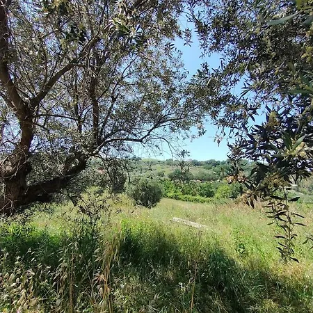 Holidayhome Manetta Tra Mare E Natura Apartment