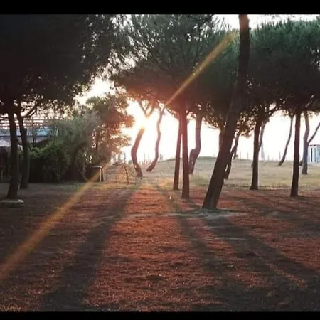 Holidayhome Manetta Tra Mare E Natura *