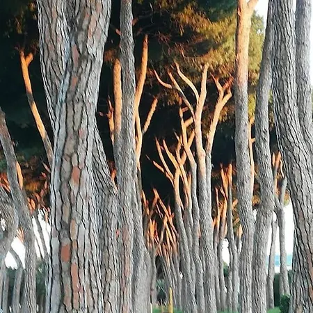 Apartment Holidayhome Manetta Tra Mare E Natura Pineto