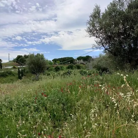 Holidayhome Manetta Tra Mare E Natura Appartement