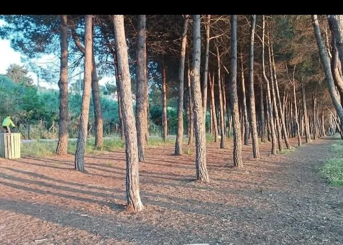 Manetta Tra Mare E Natura Apartment Pineto