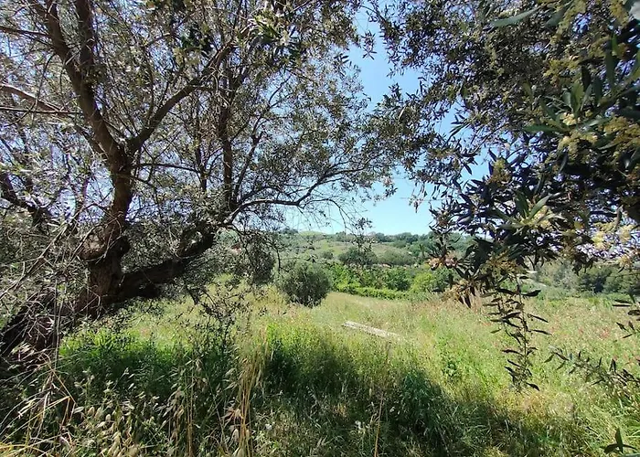 Holidayhome Manetta Tra Mare E Natura 公寓