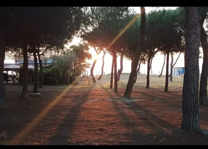 Manetta Tra Mare E Natura *