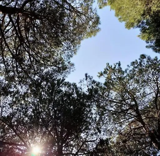 Holidayhome Manetta Tra Mare E Natura