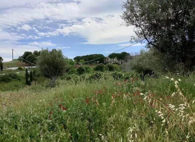 Manetta Tra Mare E Natura Apartment