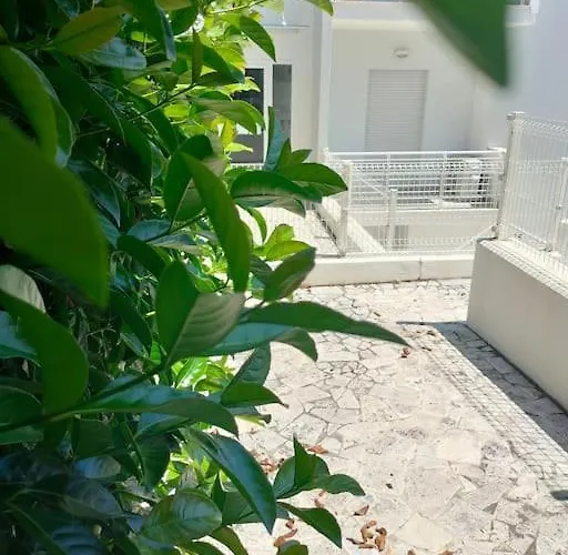 Manetta Tra Mare E Natura Apartment Pineto