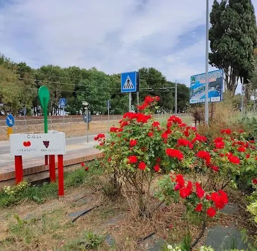 Holidayhome Manetta Tra Mare E Natura 公寓